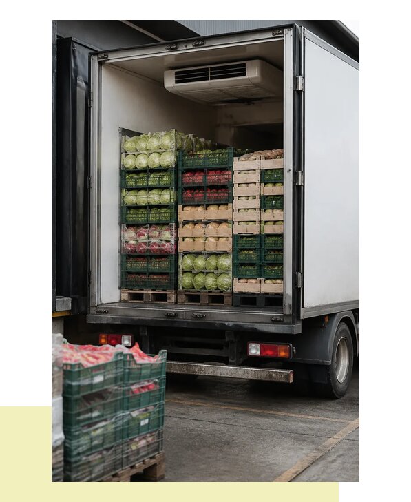 Перевозка плодоовощной продукции оптом напрямую в Вязьму