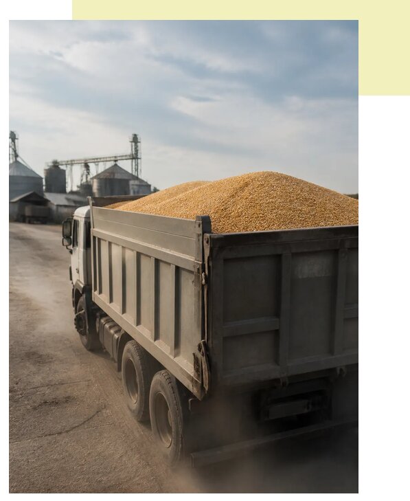 Перевозка сельхозпродукции навалом в Вязьму по цене от 3085 р. | Агросервис-Взь